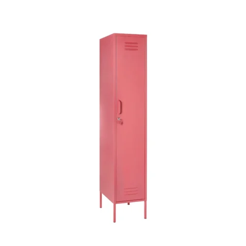 Vertical Metal Storage Cabinet Color Salmon
