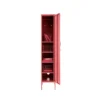 4_a75cf6c8-a514-4c9b-b3c5-347c5d227bfb Vertical Metal Storage Cabinet Color Salmon