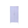 4_ba736449-943e-4ba7-a2a5-dabe95a77c19 Two Door Storage Cabinet Color Lavender